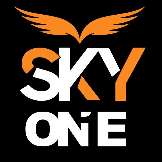Skyone Sports School logo or school image