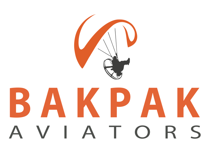 BakPak Aviators logo or school image