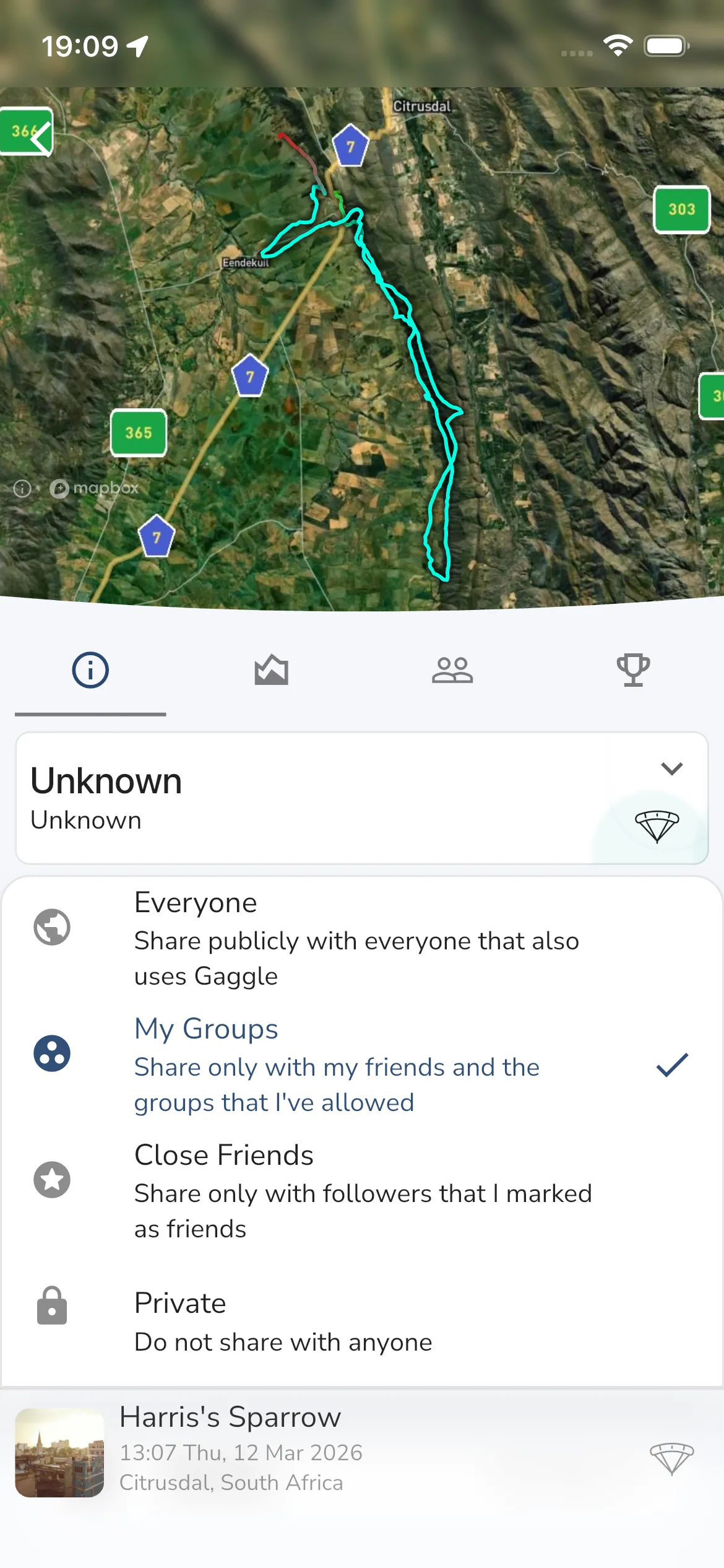 Sharing visibility options